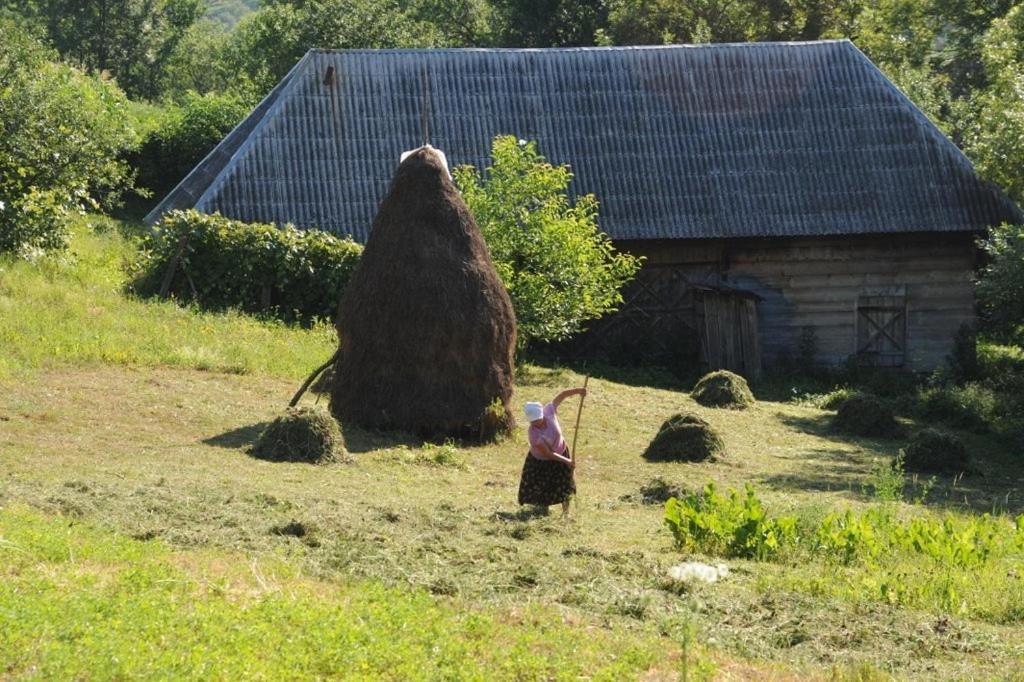 Village Hotel Maramures Breb Exteriör bild